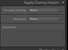 Apply During Import pane in Lr Import window