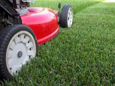 Lawn mower on partly-cut lawn.